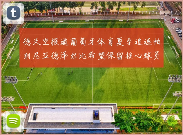 德天空报道葡萄牙体育夏季追逐帕利尼亚德泽尔比希望保留核心球员